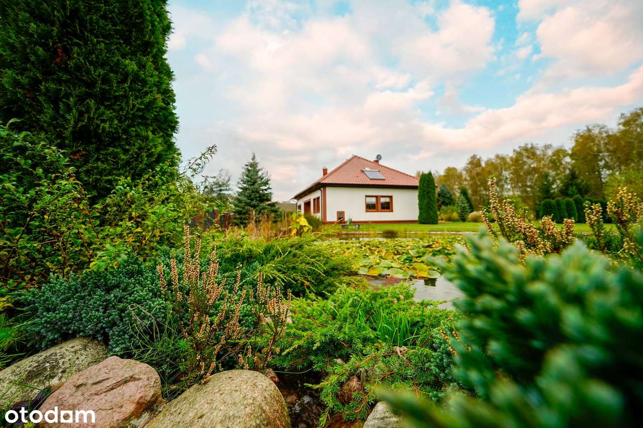 Dom wolnostojący parter 110,88 m2 + poddasze , działka 2328 m2 Grabowo-15