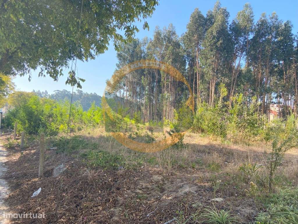 LOTE DE TERRENO PARA CONSTRUÇÃO DE UM PRÉDIO - Grande imagem: 3/8