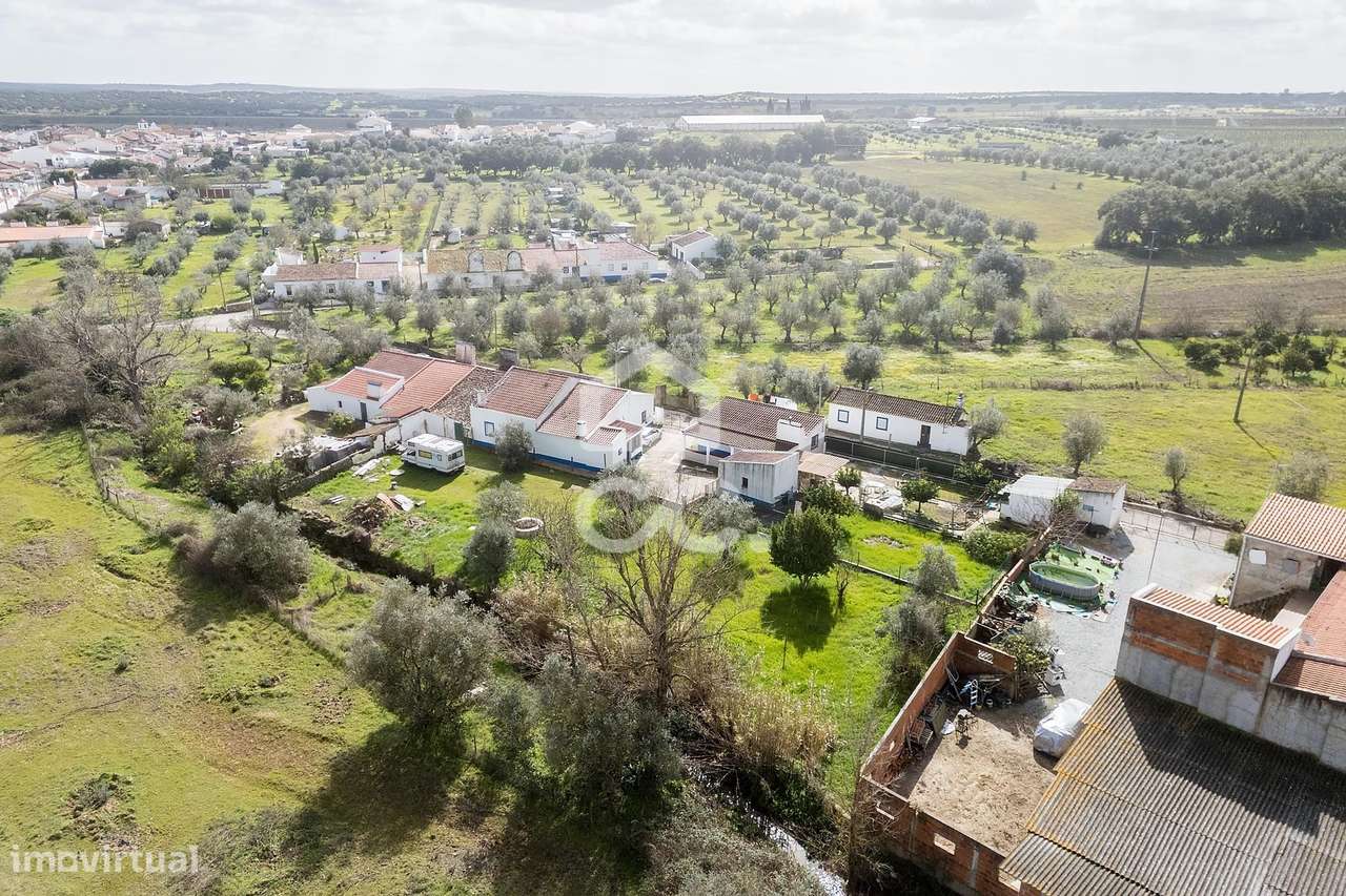 Moradia T2 de Rés do Chão c/ Terreno de 347 m² | S. Miguel de Machede,-41