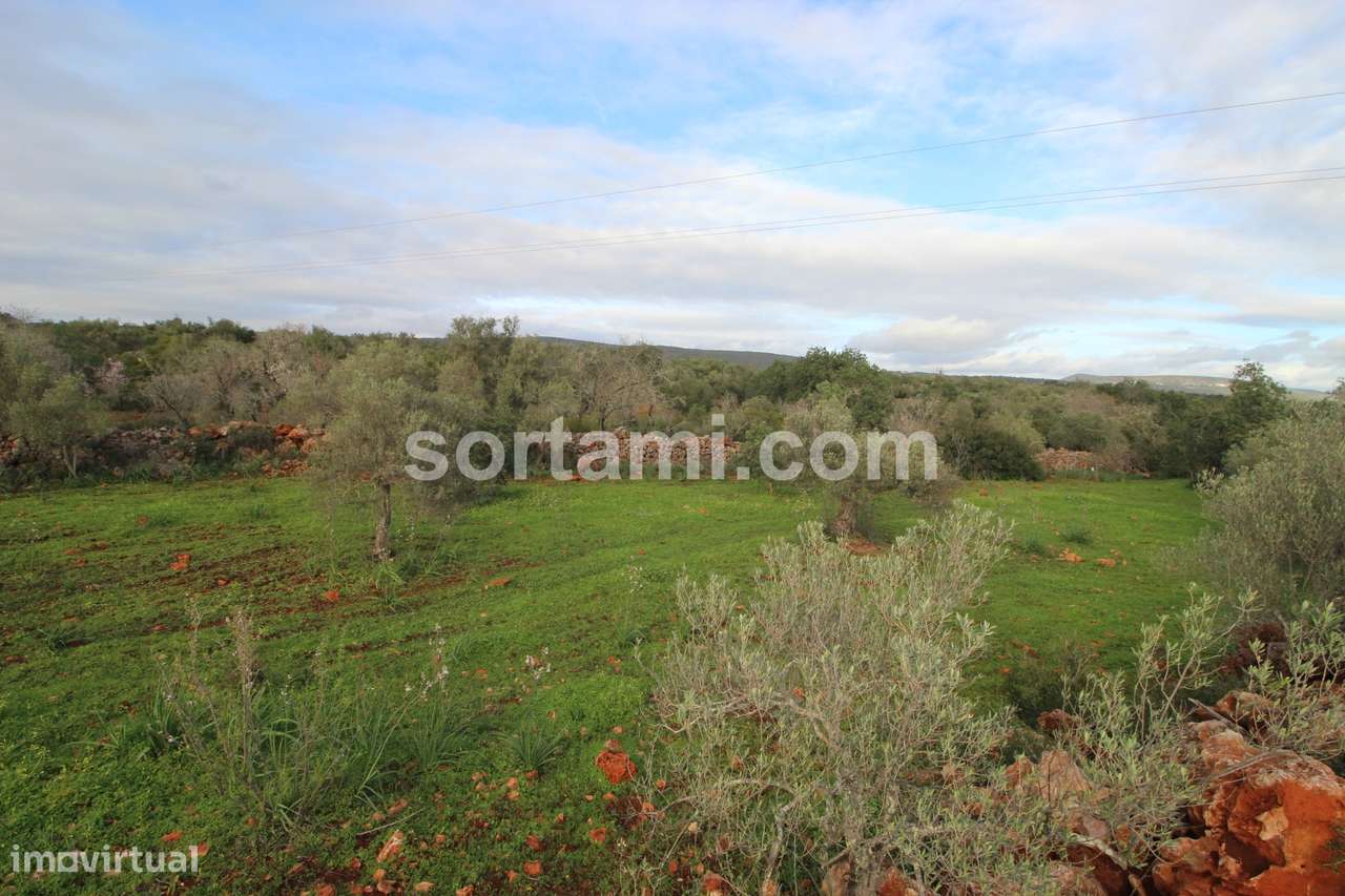 Terreno Rústico  Venda em São Bartolomeu de Messines,Silves - Grande imagem: 3/4