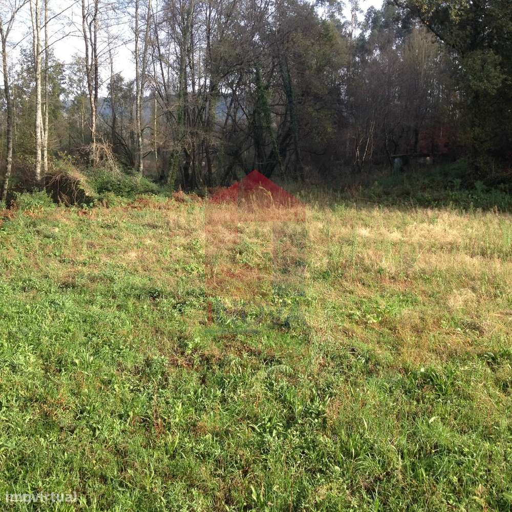 Moinho, Arcozelo - Grande imagem: 2/12