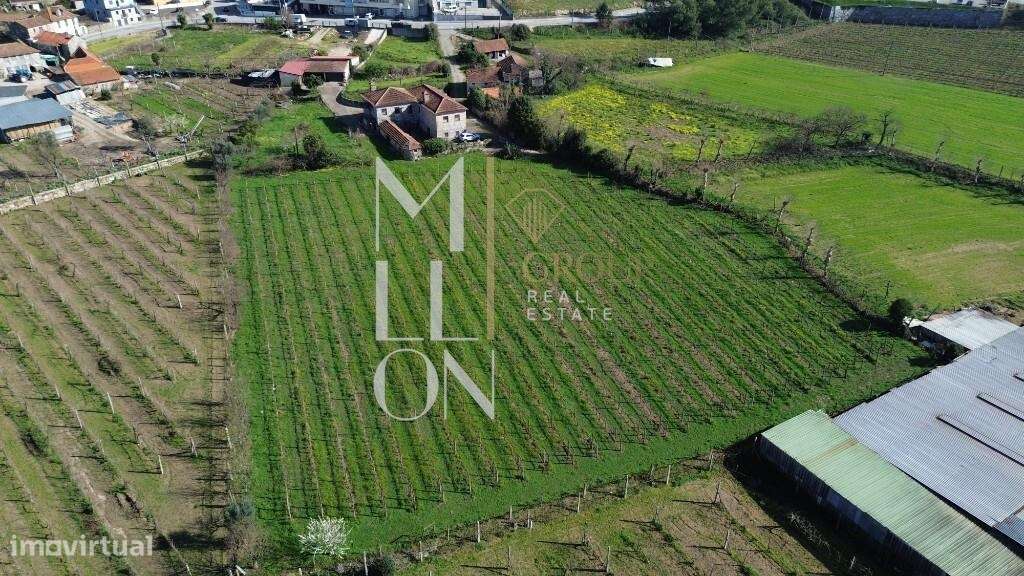 Quinta do Loureiro: Uma Casa Solar Histórica e Elegante em Lousada-41