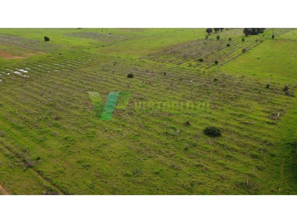 Lote de terreno rústico perto de Paderne, plano, vedado e com vista...-19