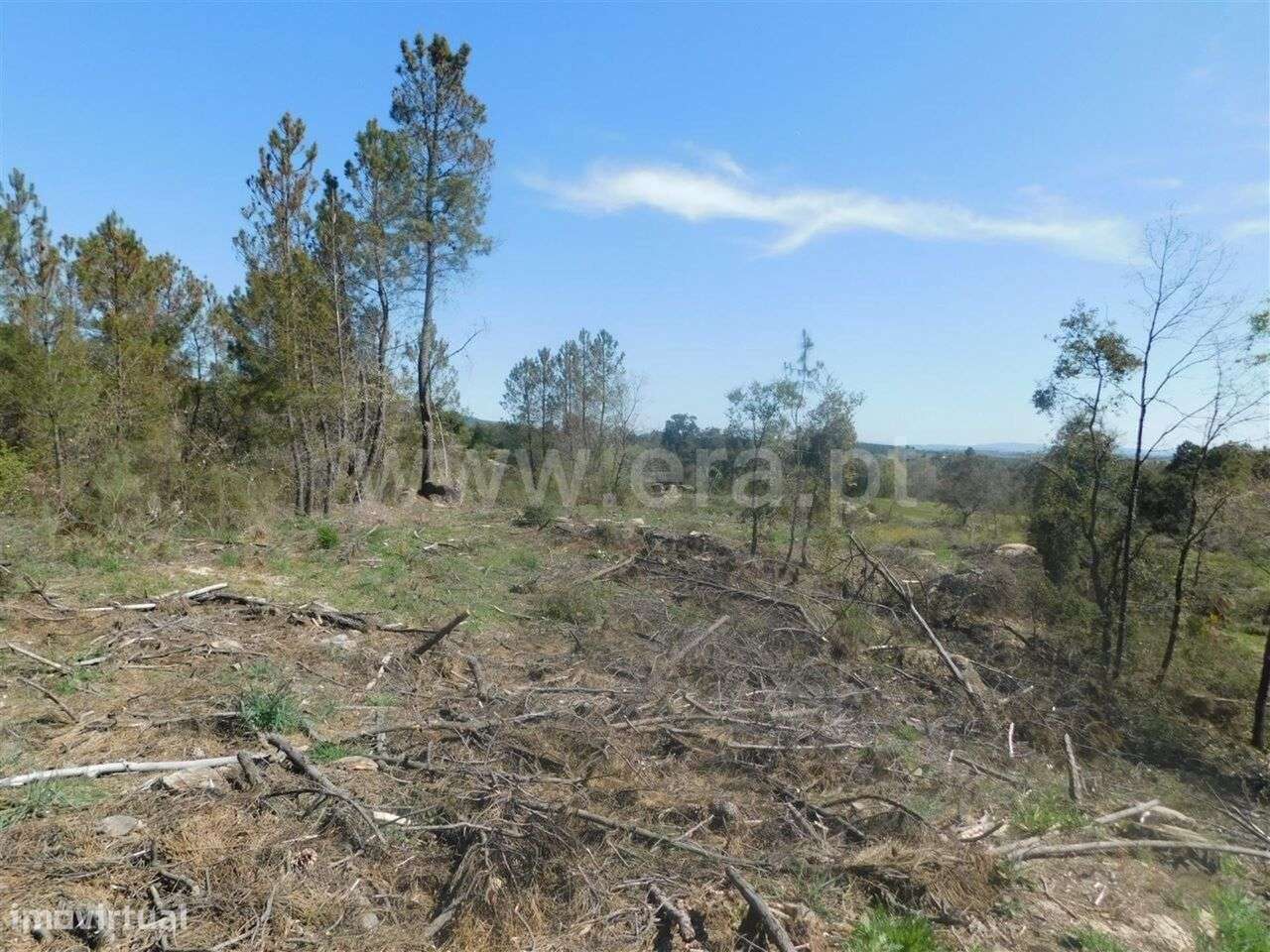 Terreno / Fundão, Póvoa da Atalaia - Grande imagem: 5/14