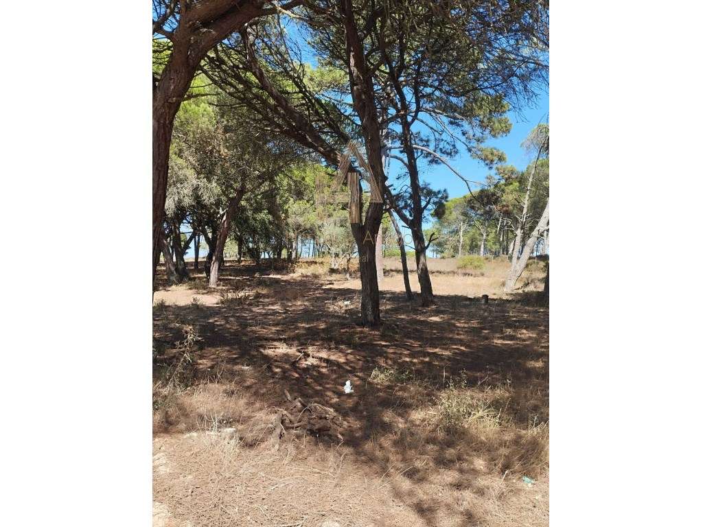 Terreno em Sesimbra - Grande imagem: 4/5