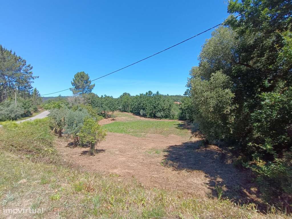 Moradia Isolada M6 em zona de Vila Nova de Poiares - Grande imagem: 5/6