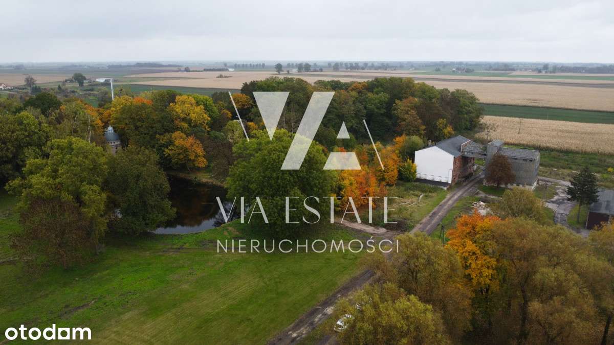 Pałac eklektyczny,zabytkowy park,stawy, do remontu-7