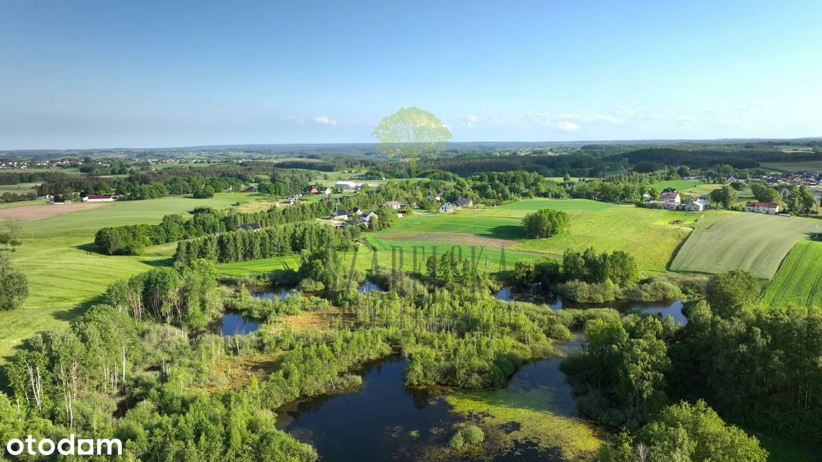 Pod działalność usługową lub dom z usługami !!!-14