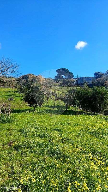 Terreno  para venda-31