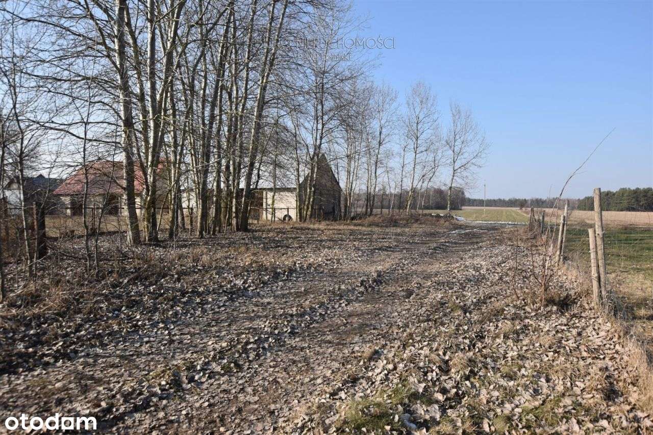 Działka w malowniczej osadzie Lachy - Pełny obrazek: 5/6