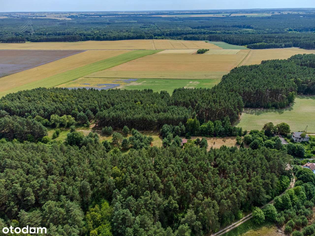 Działki budowlane na sprzedaż warunki zabudowy Puszcza Notecka-3