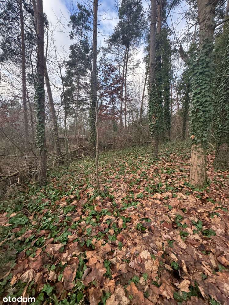 Wyjątkowa działka w Chomiąży z prywatnym dostępem do Jeziora-5