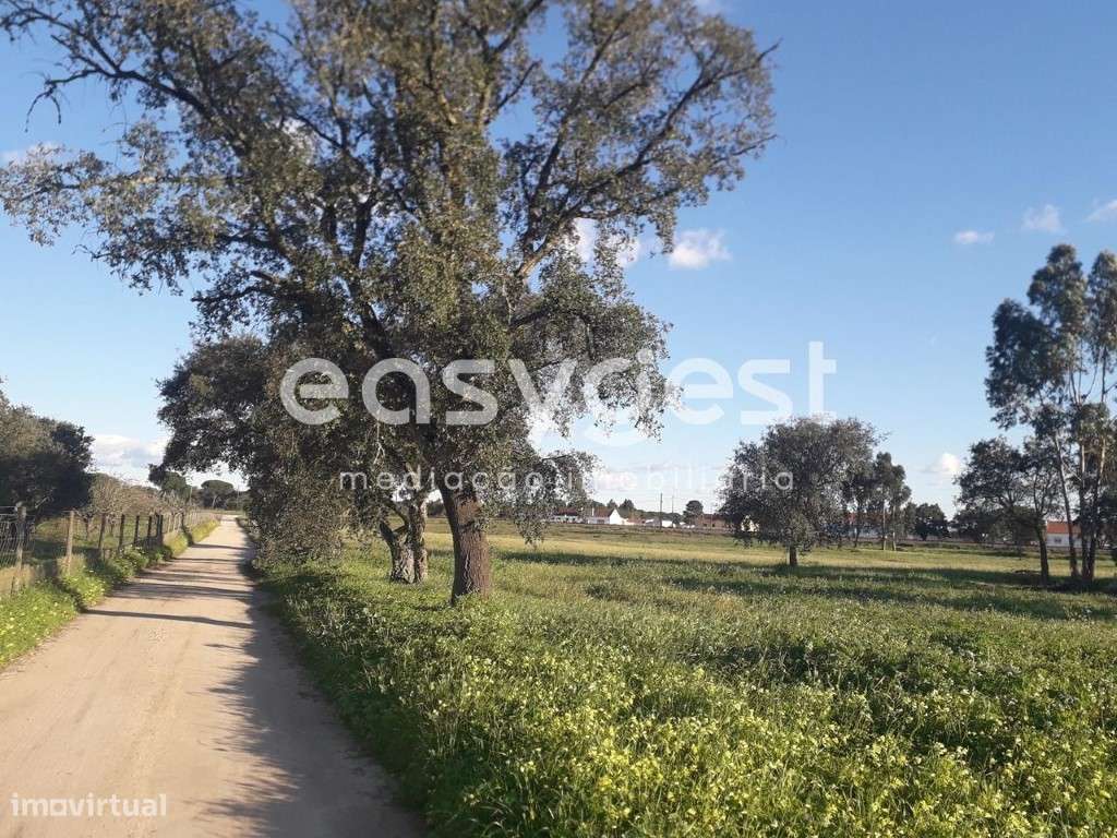 Terreno Misto com viabilidade de construção em Craveira do Norte - Grande imagem: 2/22