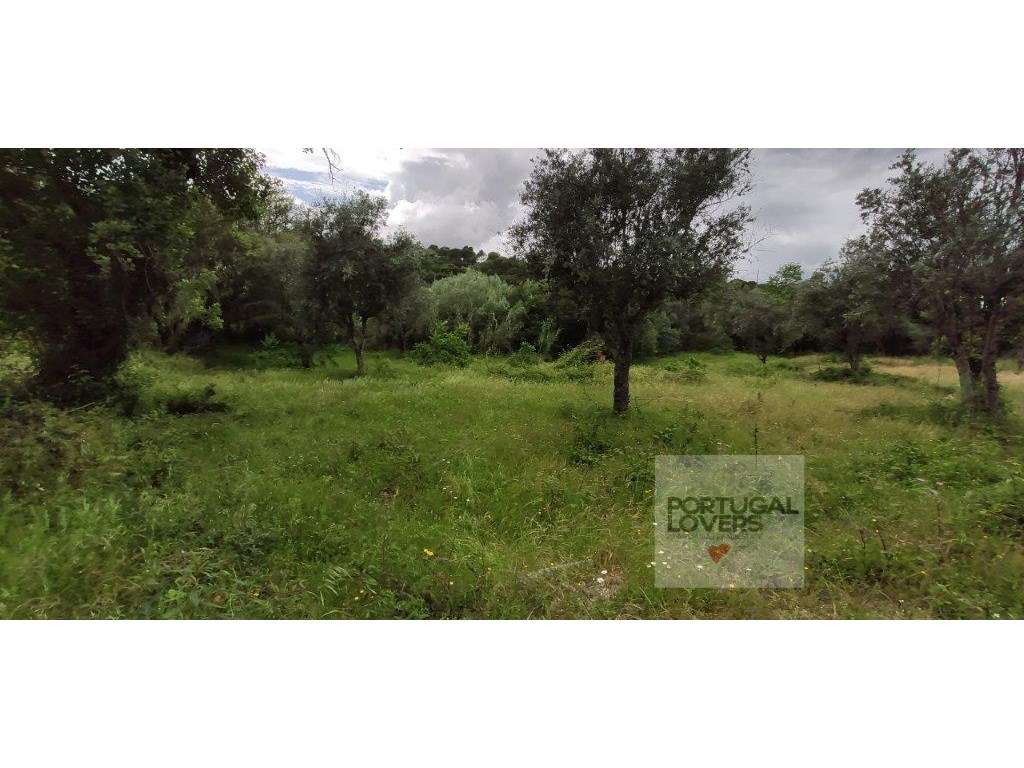 Quinta com várias construções terreno 2874 m2 Galveias (Ponte de Sor)-15