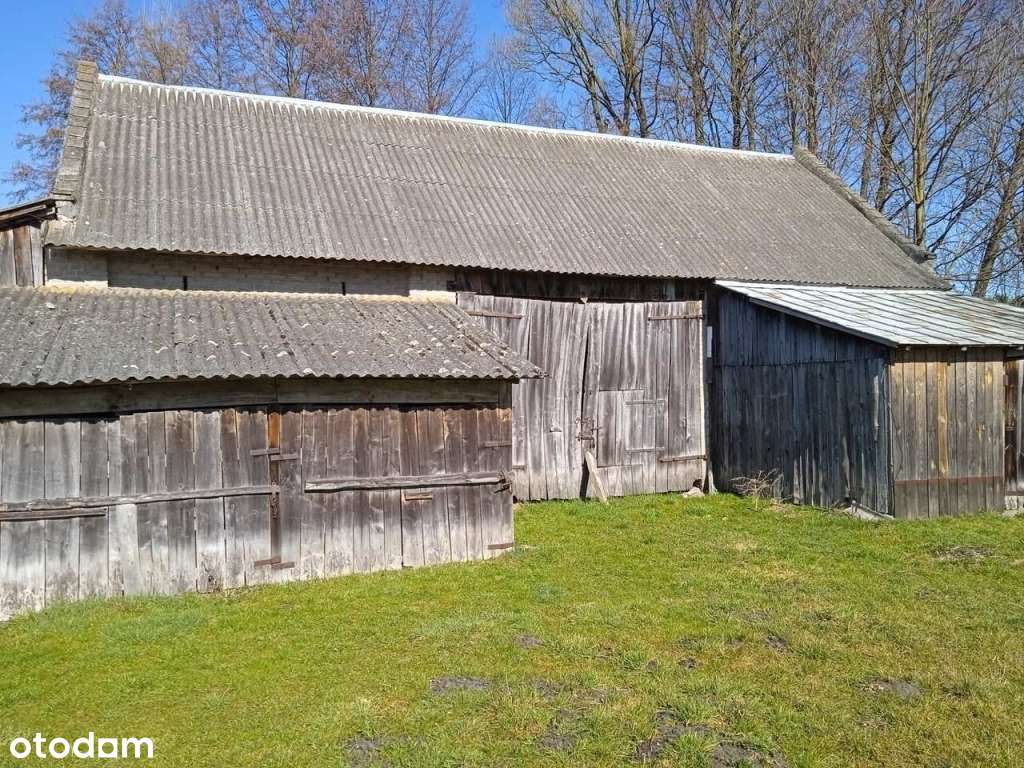 MEGA OBNIŻKA!!! OKAZJA!!Sprzedam dom w malowniczej okolicy na Pilicą-10