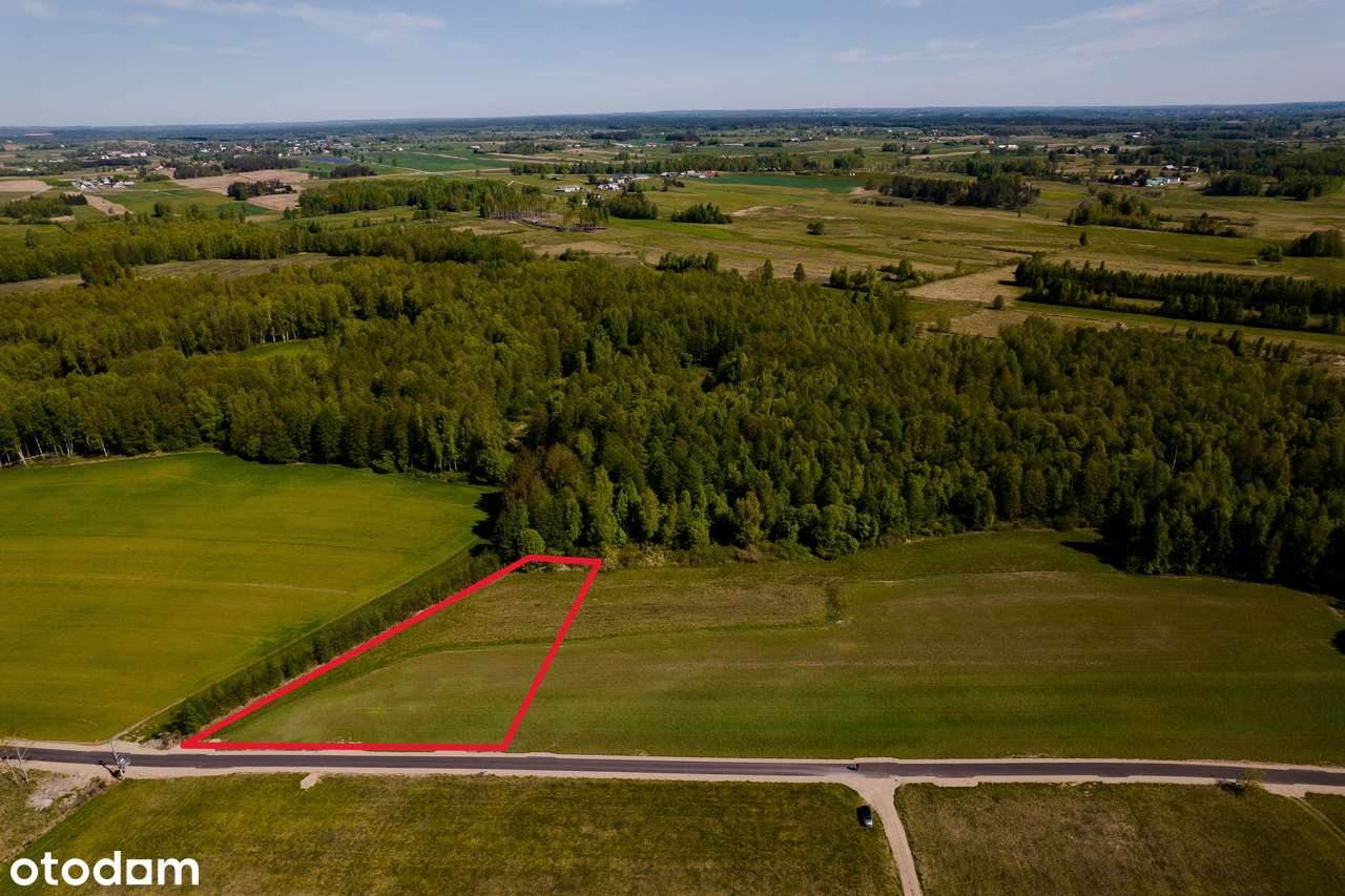 Działka z linią brzegową J. Gremzdy Polskie - Pełny obrazek: 4/20