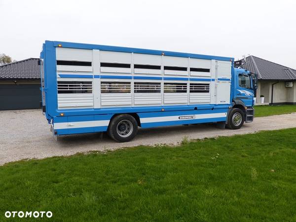 Mercedes-Benz AXOR 1829 DO ŻYWCA / ZWIERZĄT / BYDŁA Z WAGĄ / SUPER STAN / EURO 5 / DŁ. 7.50 M / CAŁY NA PODUSZKACH / DMC 18T!! - 5