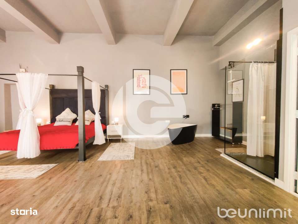 Studio - 46 MpU - Central - Pretabil regim hotelier - Spatiu comercial-1