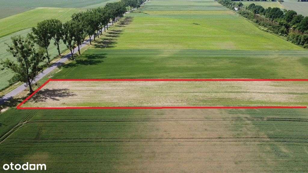 Brzeg Okolice ~ 5 Km Dojazd Asfaltowy Dw - Pełny obrazek: 5/6