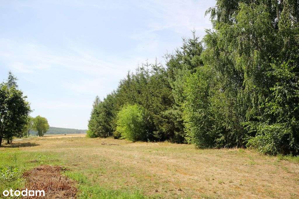 Działka pod zabudowę czterech budynków-5