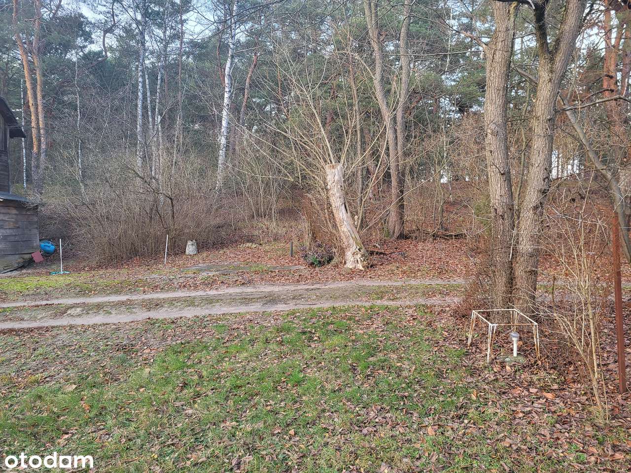 Działka, 2 199 m², Józefów - Pełny obrazek: 5/11