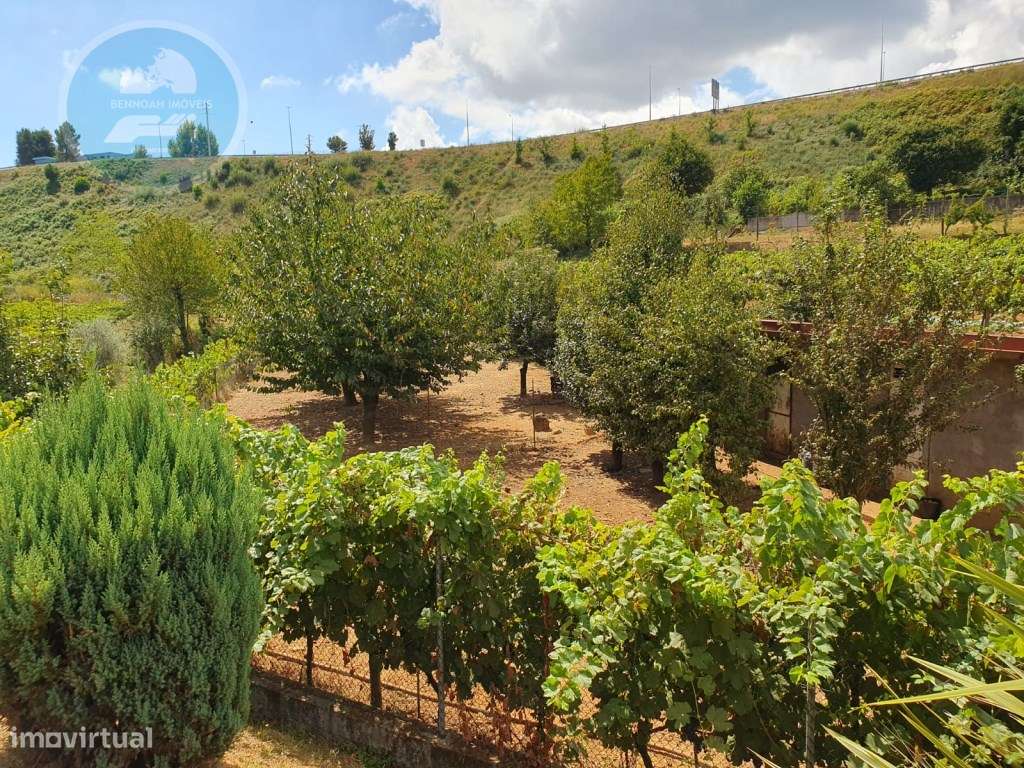 Quintinha à venda- Arco de Baúlhe-55