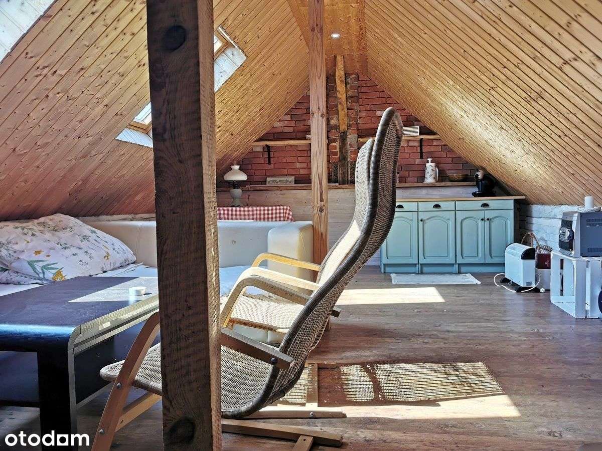 magiczne siedlisko w Foluszu koło Pleszewa-14