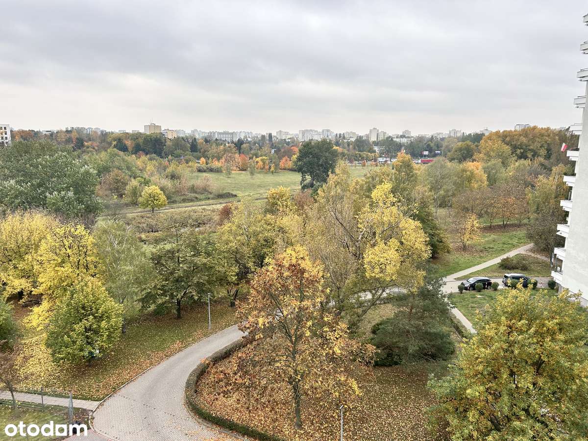 Bezpośrednio 3 pokoje , do wykończenia - Pełny obrazek: 4/19