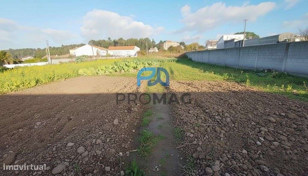 Terreno de 3850 m2 + Armazém | Potencial para Moradias-14
