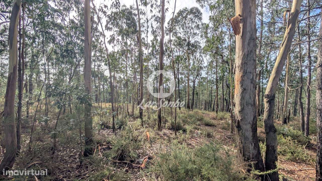 Terreno com 14.516m2 em Laúndos, Póvoa de Varzim - Grande imagem: 4/8