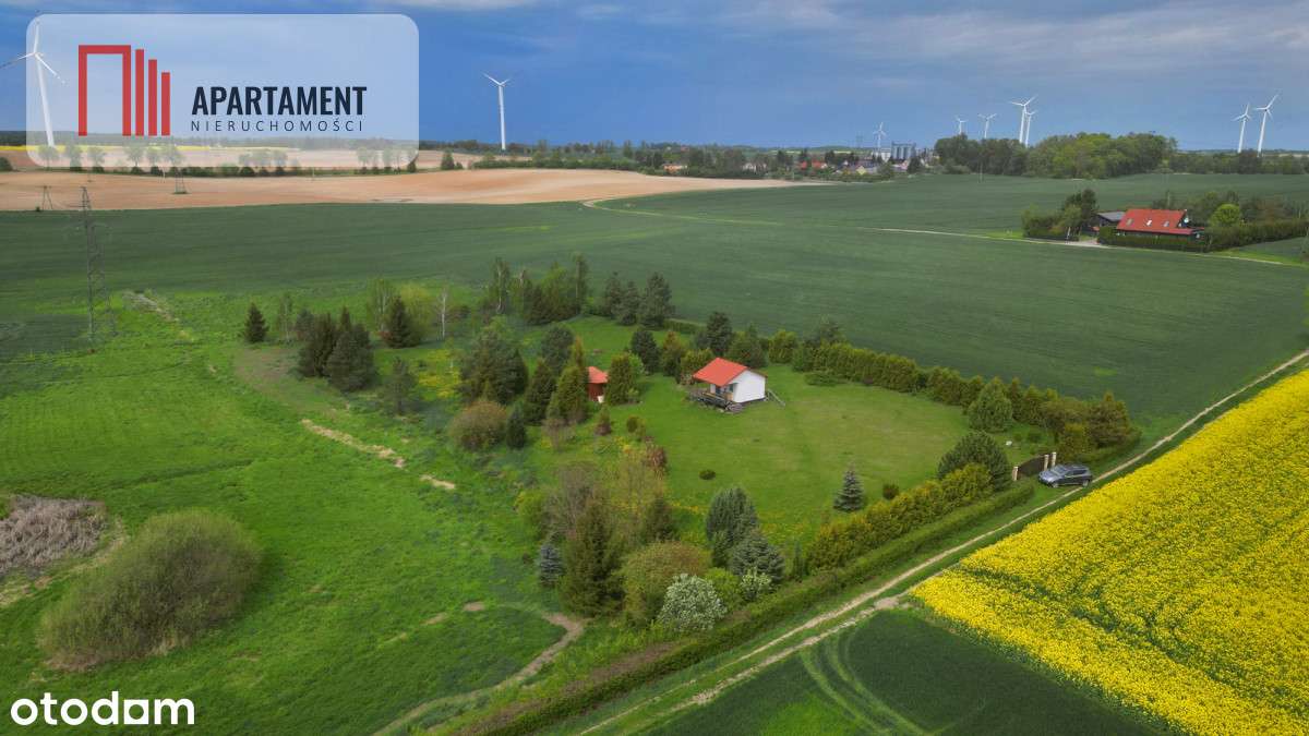 działka z warunkami zabudowy 1,4 ha - Pełny obrazek: 4/7