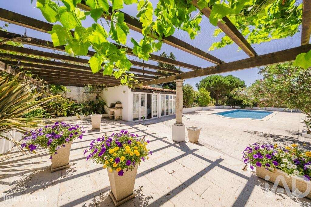 Quinta T4 em Moita dos Ferreiros de 633,00 m2 - Grande imagem: 4/30