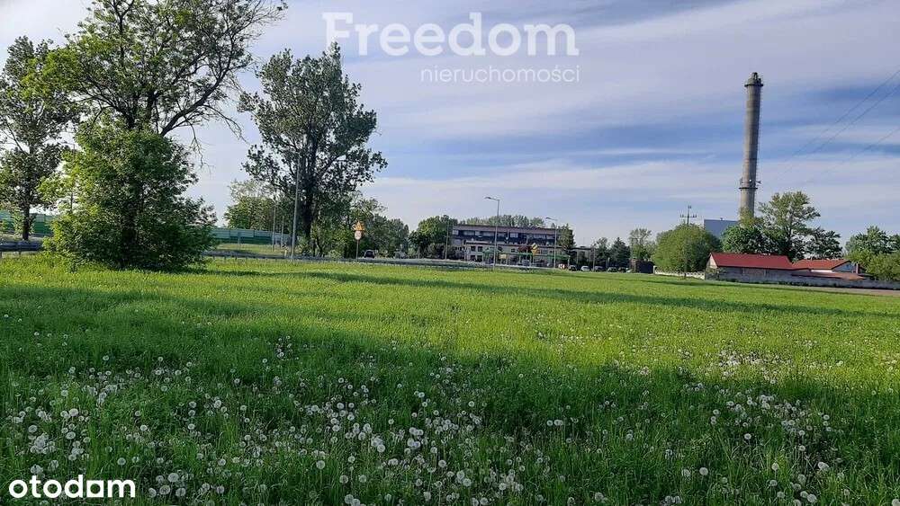 Działka inwestycyjna 7000 m² – usługi. - Pełny obrazek: 5/8