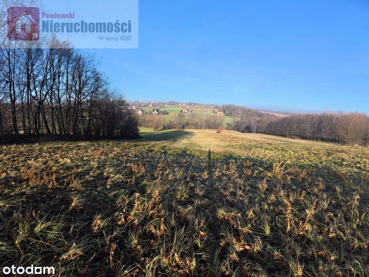 Działka, 9 325 m², Grabie - Pełny obrazek: 4/7