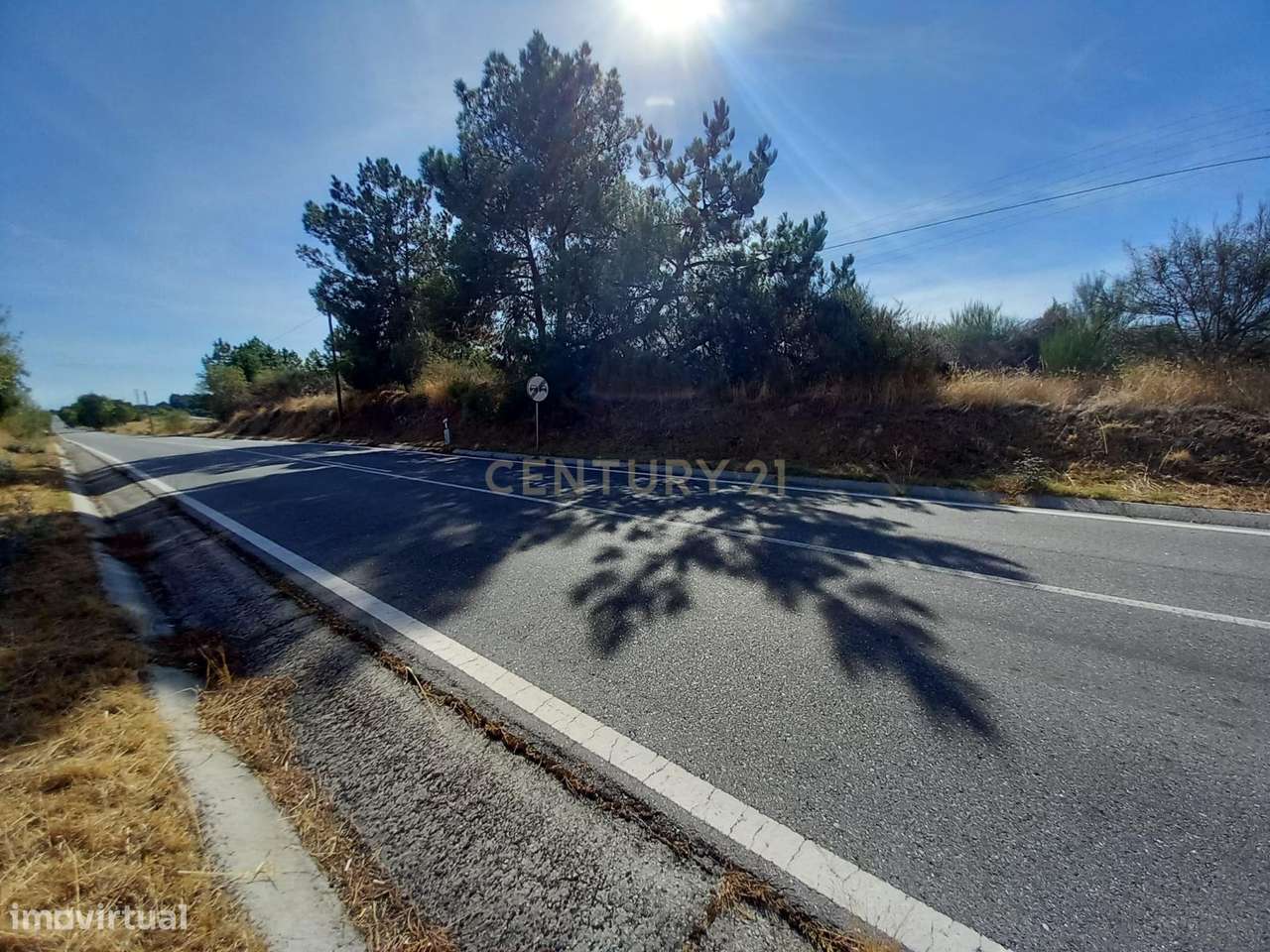 Terreno Rústico com 10250m2, Lardosa , Castelo Branco - Grande imagem: 4/9