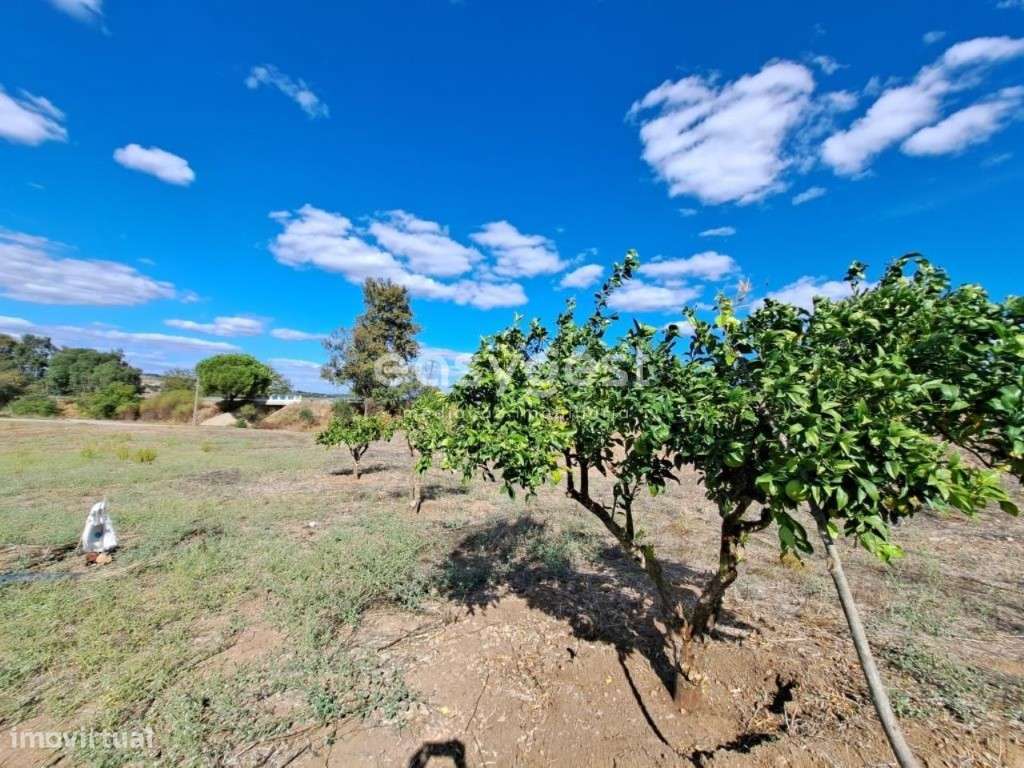 Monte no concelho de Serpa com 0,6 ha com infraestruturas no mesmo - Grande imagem: 4/21