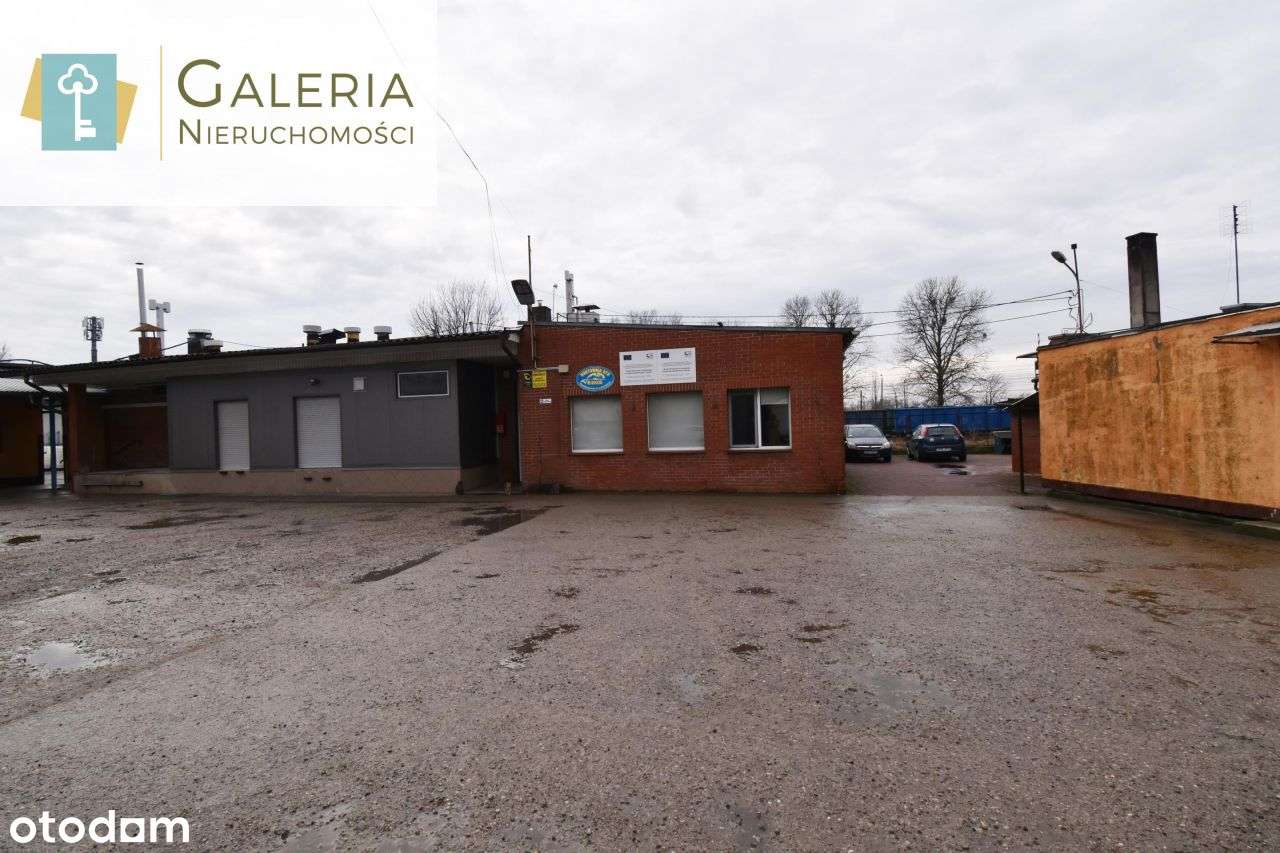 Lokal użytkowy, 2 115 m², Elbląg - Pełny obrazek: 4/19