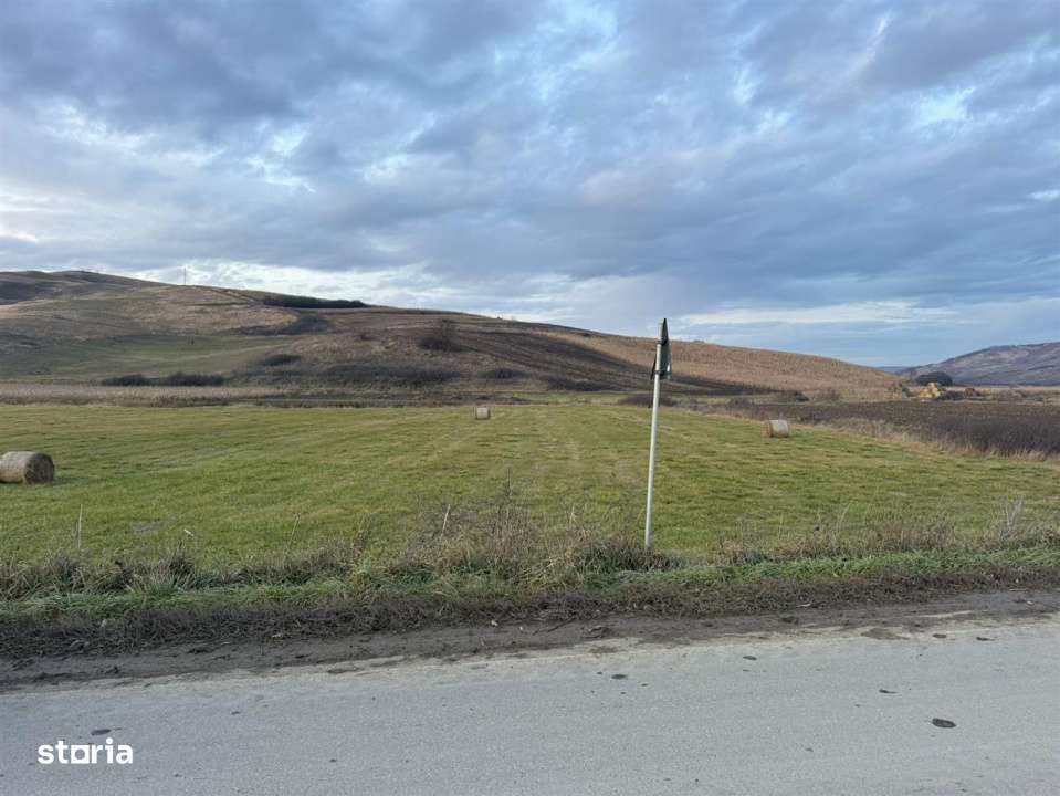 Teren Extravilan I 6000 Mp I Acces la drum | Cojocna-6