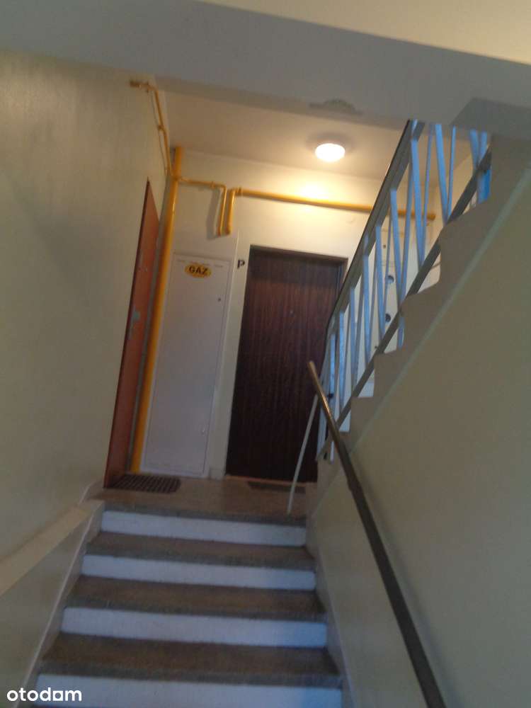 Ładne i przytulne 3-pokojowe mieszkanie z loggią, piwnicą i garażem - Pełny obrazek: 2/7