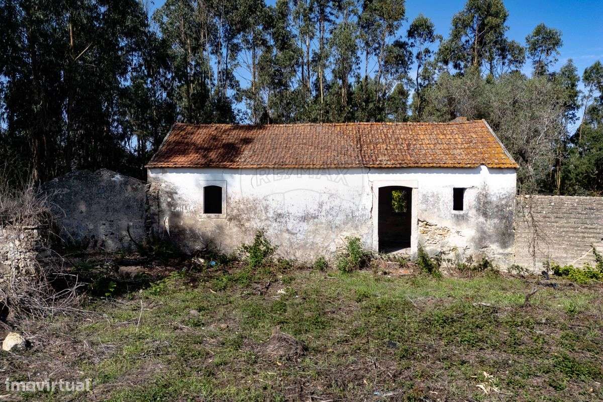 Quinta  para venda - Grande imagem: 4/14