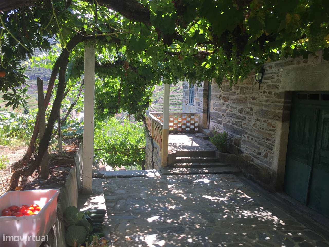 Quinta no Douro ao Pinhão - Grande imagem: 2/35