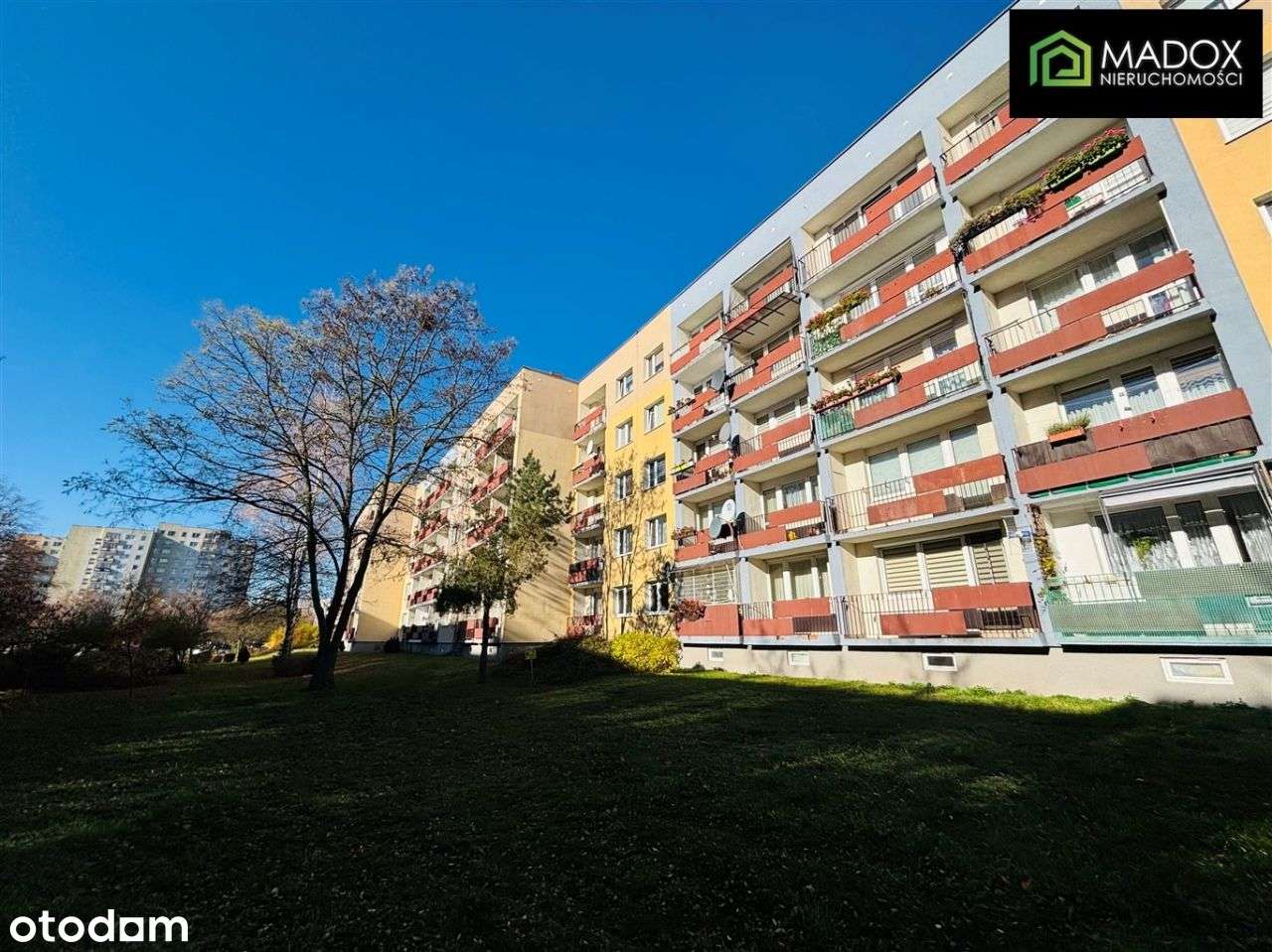 Zadbane M-4 na Północy, 1p w bloku-16