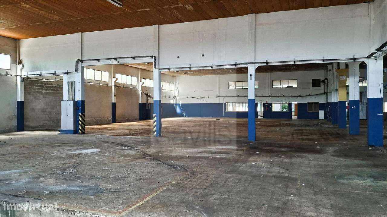 Armazém e escritórios | Massamá-Queluz - Grande imagem: 4/13