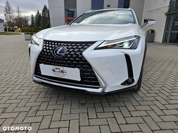 Lexus UX 300e - 10