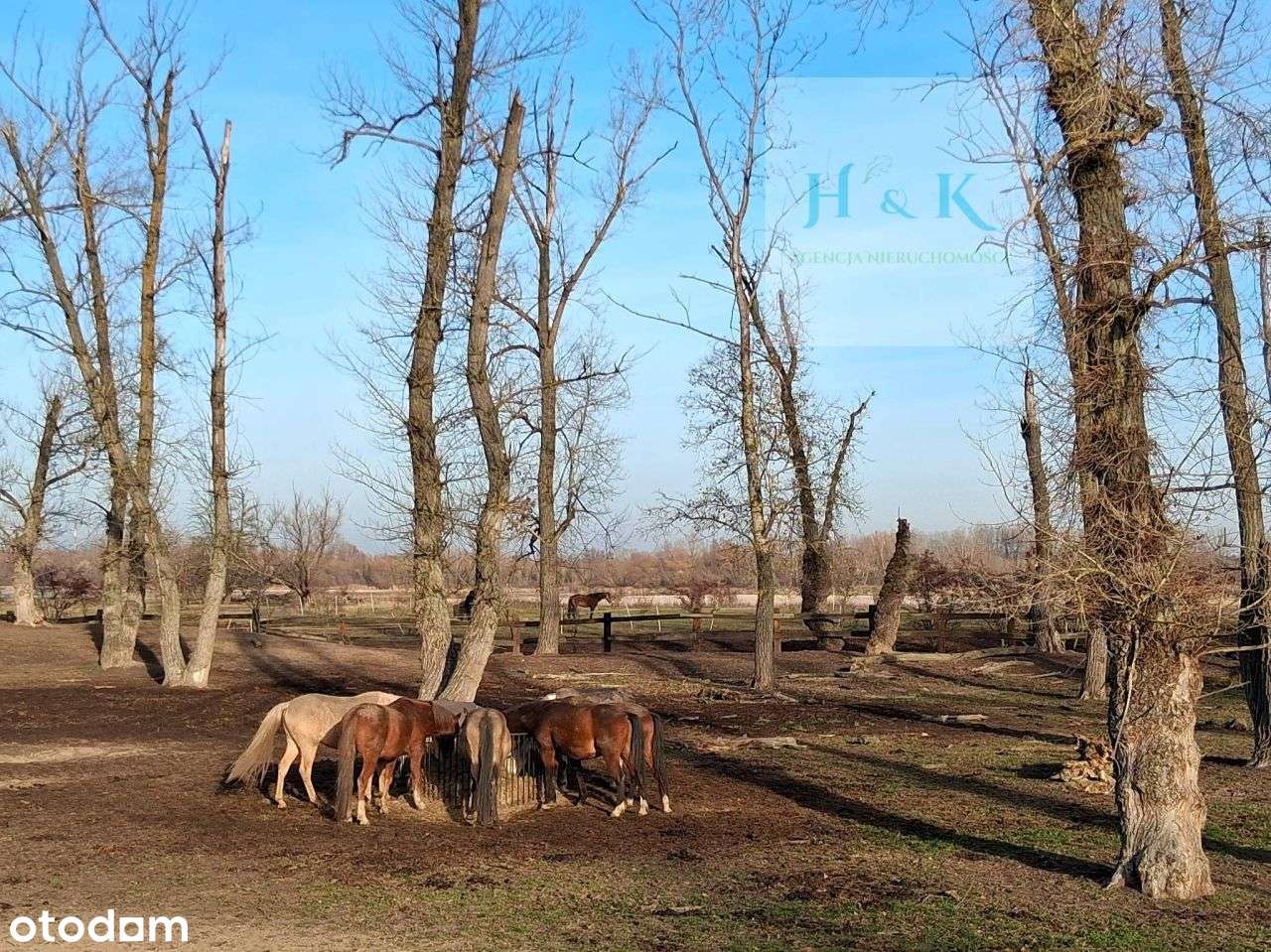 Duża działka budowlana w okolicy Konstancina-Jezio-16