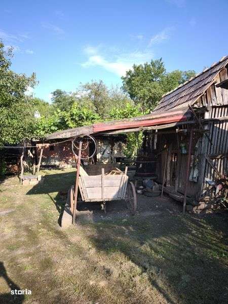 Casa de vanzare la tara - Sat Boian, Comuna Ceanu Mare cu teren 40 ari - Imagine principală: 5/8