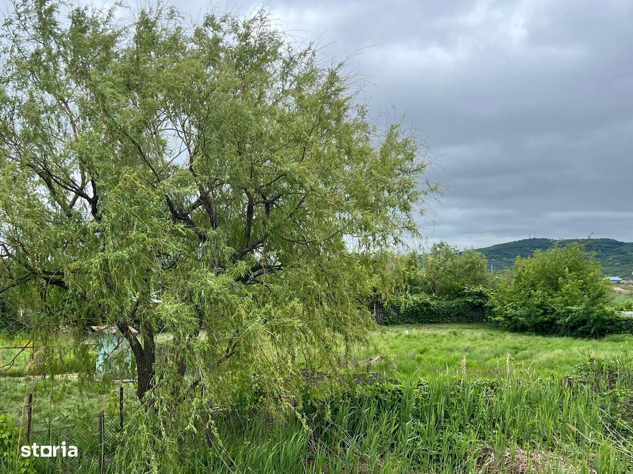 Teren la strada principala in Dancu   2748 mp  deschidere de 40 m - Imagine principală: 2/5