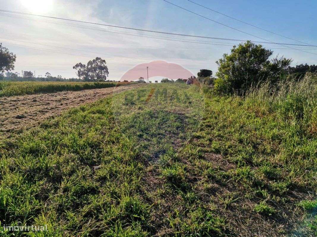 Terreno  para venda - Grande imagem: 4/9