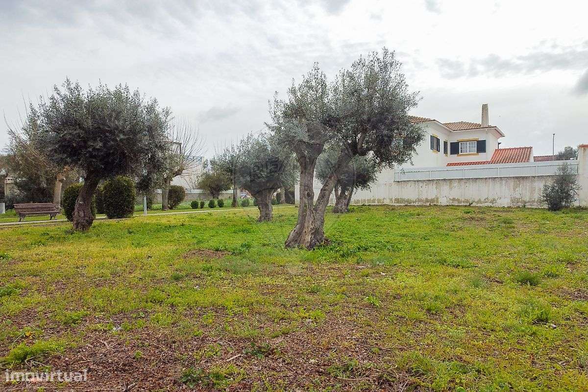 Terreno  para venda - Grande imagem: 2/7