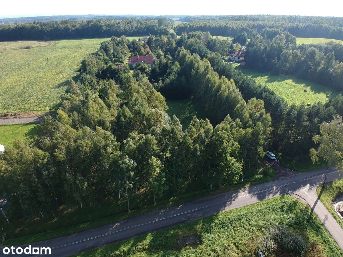 Działka budowlana Kamiennik Wielki, gmina Milejewo-13